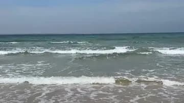 ずいえき海で一時行方不明に