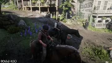 the animal?