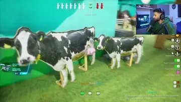 Diseased Cow Udder