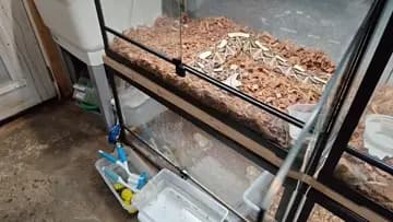 Venomman20 lunch with the snakes