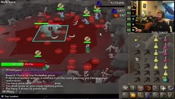 crazy fight