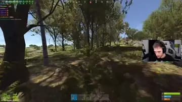 pijea2