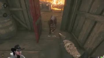 hammer kill