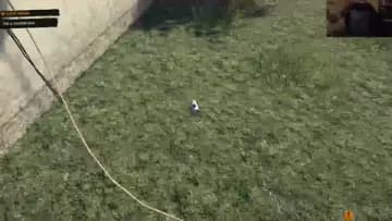polske pečene zemaky 🤣🏁
