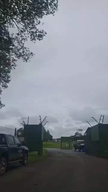 Monkey Hijacks Coach at Safari Park!