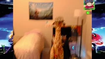 crunckle