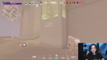 Report gekko