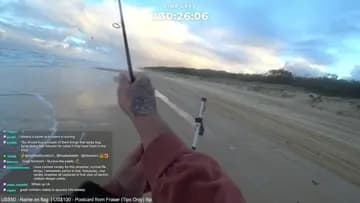 Sea Hawk Strikes again