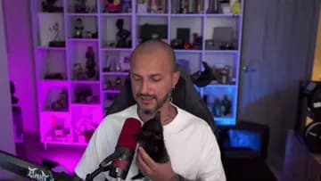 cat2