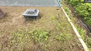 今日もモグラ