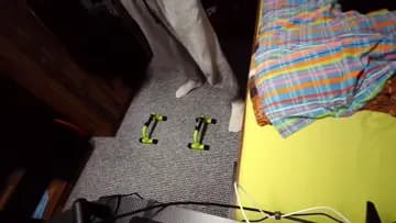 Foresayer nema na takeho sigmu