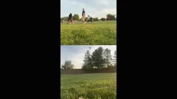 SHAMMY CAN PLAY FOOTBALL