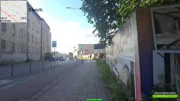 co za goat